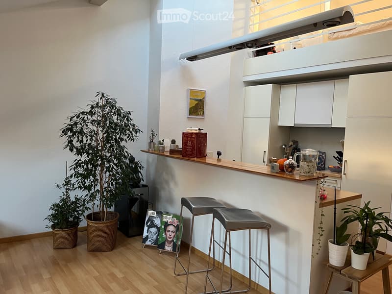 Bright Loft - Bourg Lutry (1)