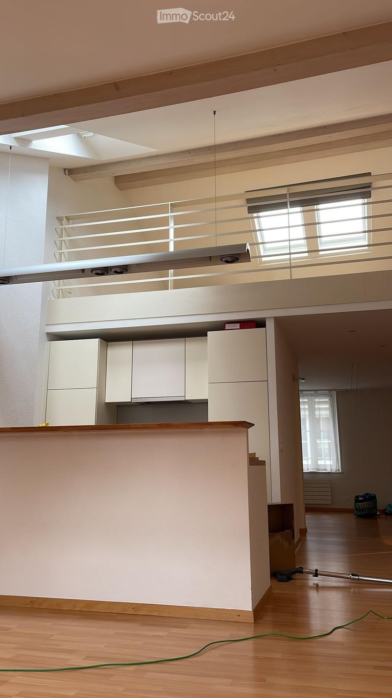 Bright Loft - Bourg Lutry (3)