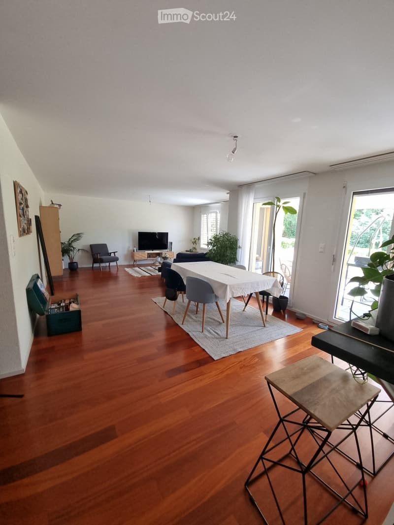 Beautiful 4.5-room apartment with terrace and garden (4)