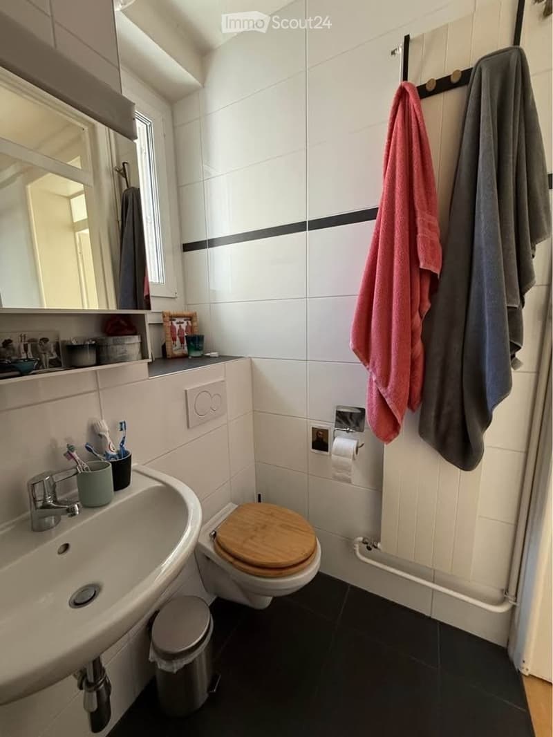 Lausanne Wohnung 3.5 Zimmer (10)
