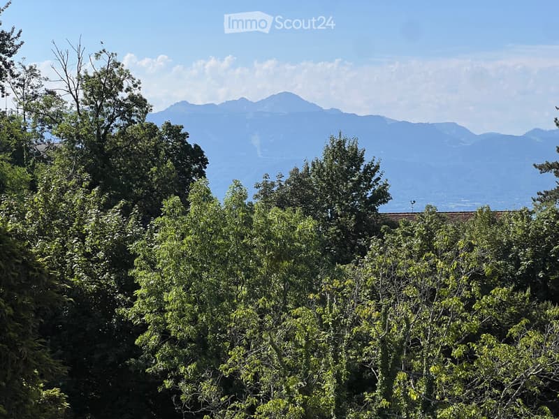 Appartement 3,5 pièces Avenue du Léman (2)