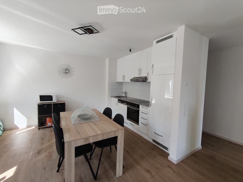 Renoviertes Appartement (5)