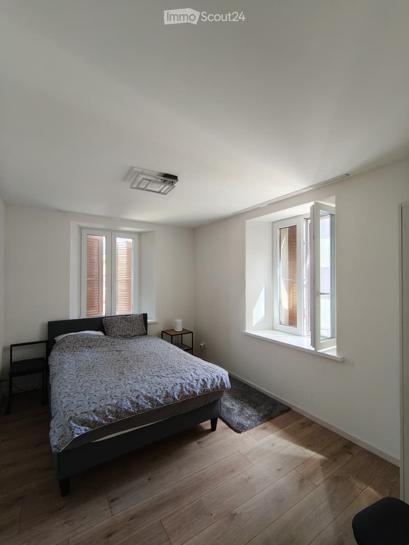 Renoviertes Appartement (2)