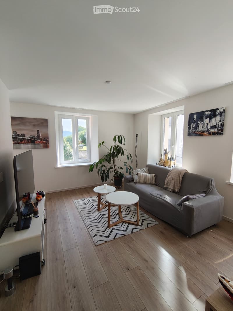 Renoviertes Appartement (4)