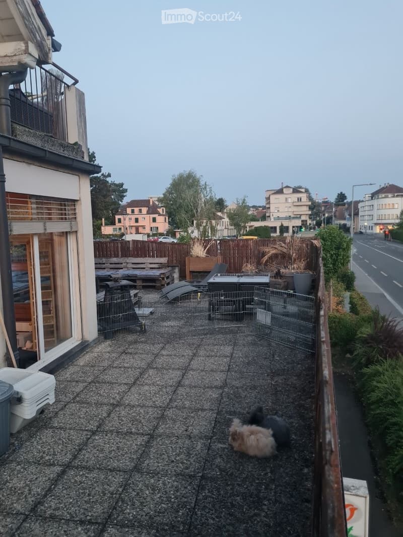 Appartamento nel centro di Yverdon di 2.5 locali con 69m² e terrazza (1)