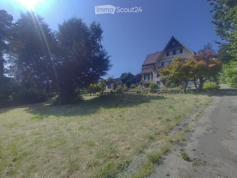 Schönes Apartment zur Untervermietung ab November! (1)