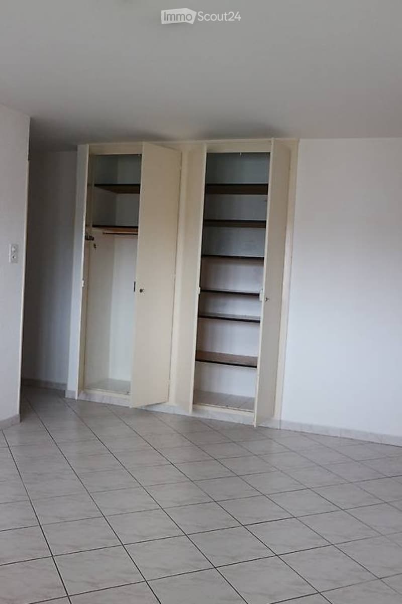 Schönes 2.5-Zimmer-Wohnung zur Miete im Zentrum von Saxon (1)