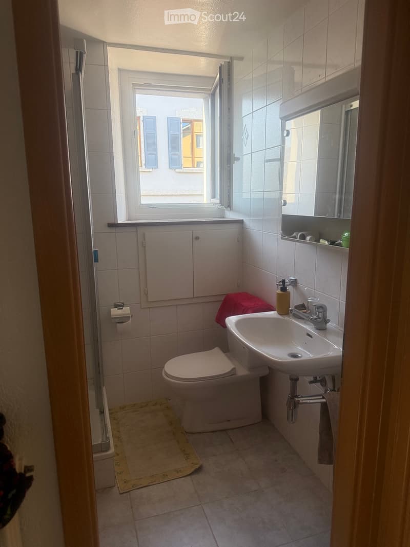 Zweieinhalb-Zimmer-Wohnung (3)
