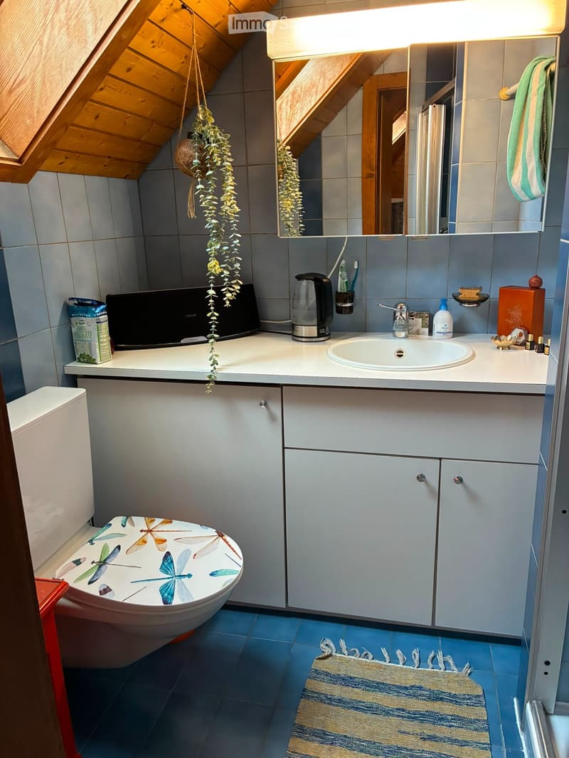 Zimmer mit möbliertem Bad zur Miete (5)