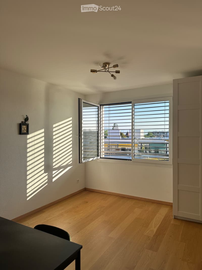 Very beautiful apartment in Champel (1)