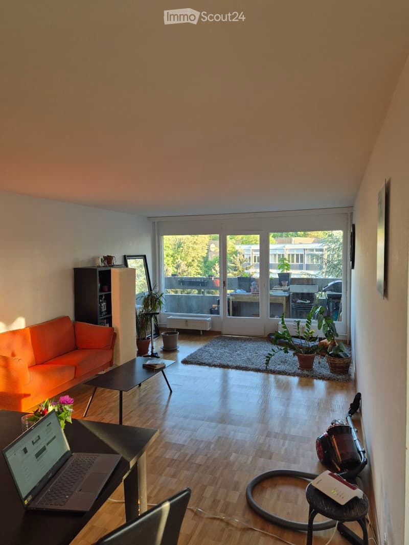 Geräumige, erschwingliche 4.5-Zimmer Wohnung in Bern (1)