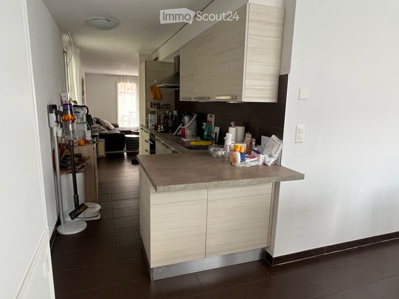 Takeover of rental agreement for 4.5 room duplex apartment (3)