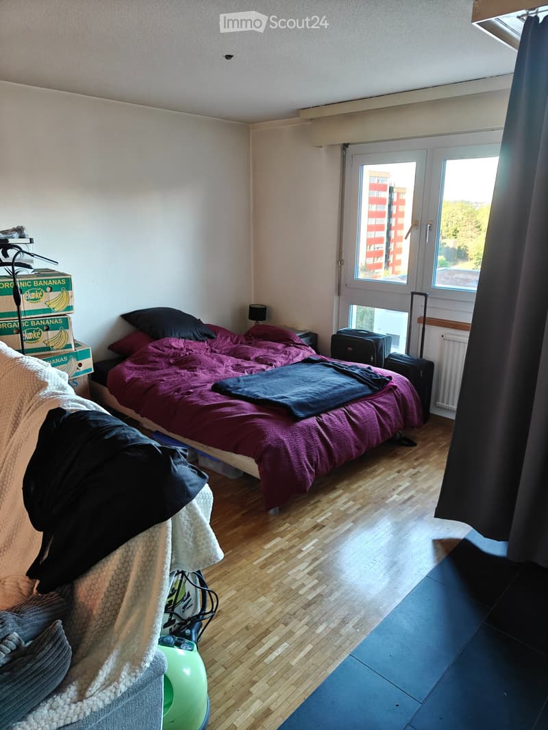 A louer 1.5 pièce lumineux quartier Schoenberg Fribourg (5)
