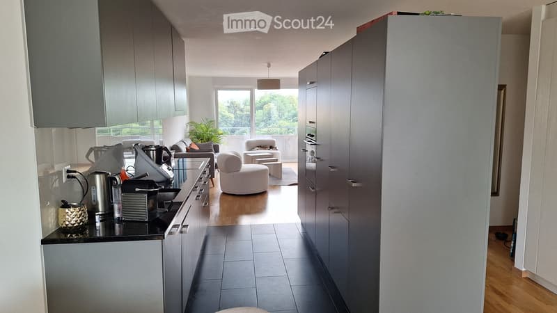 Très bel appartement de 3,5 pièces au 6 étage, avec vue (4)