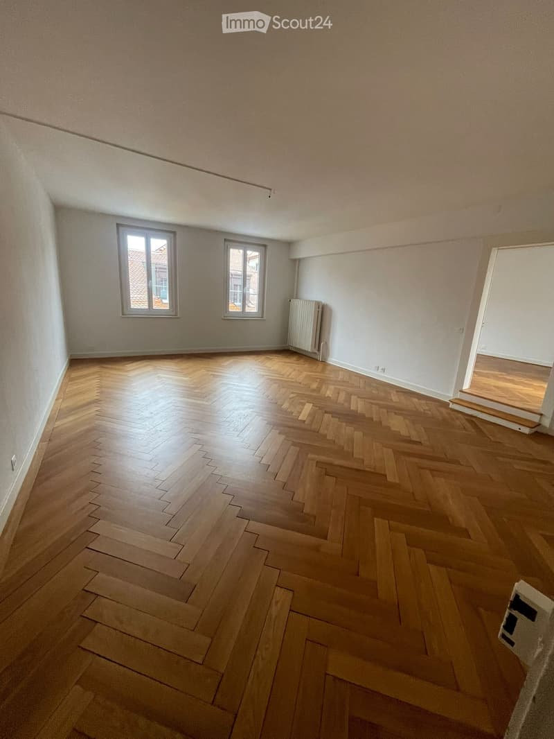 ampio appartamento di 4,5 locali (3)