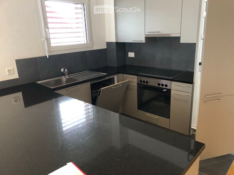 Übernahme des Mietvertrags - schönes 3.5-Zimmer-Apartment mit 82m2 und Balkon (4)