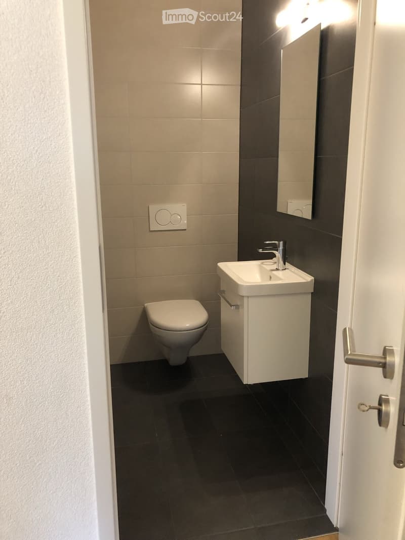 Übernahme des Mietvertrags - schönes 3.5-Zimmer-Apartment mit 82m2 und Balkon (2)