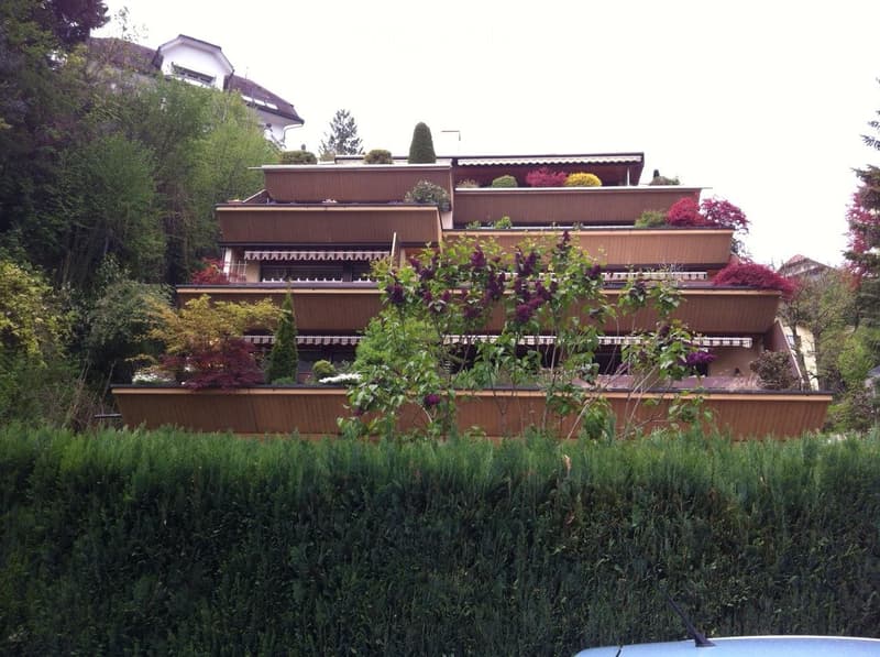 1.5 rooms, best location Lucerne city (1)