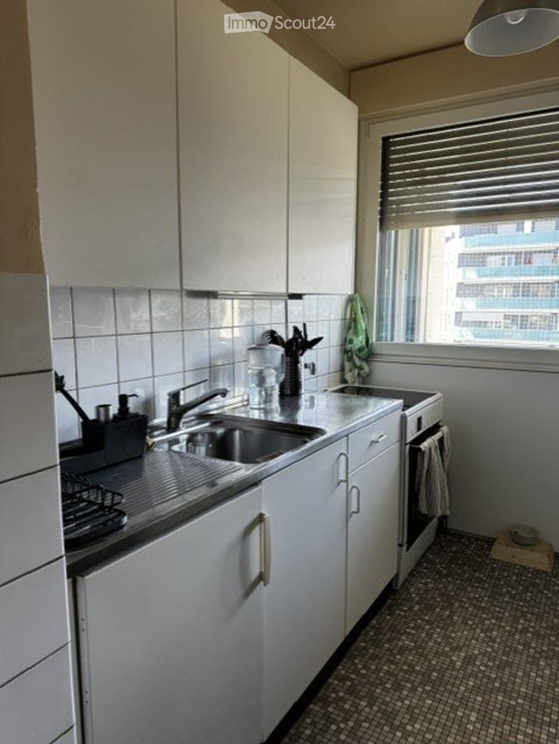 Appartement lumineux de 3.5 pièces à Châtelaine, Genève (3)