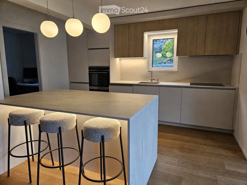 Maison individuelle rénovée à Villeneuve (2)