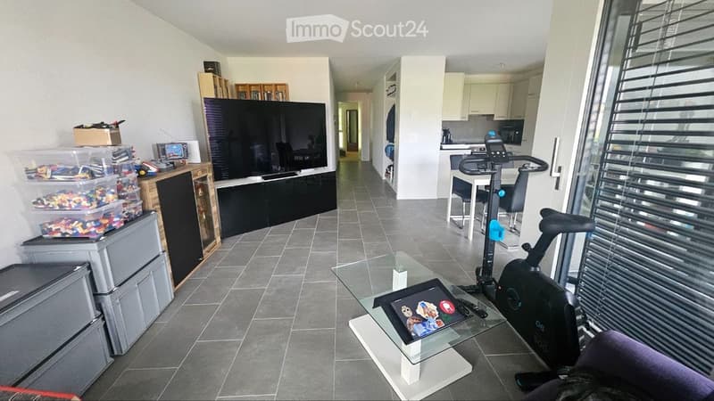 Großes 3.5-Zimmer-Neubau zu vermieten in einer ruhigen Gegend (1)