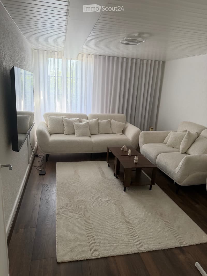 Appartamento in affitto 3.5 senza balcone (4)