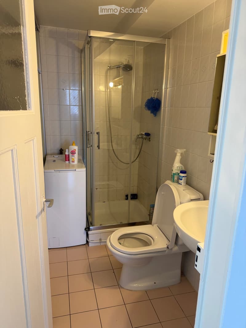 Appartamento in affitto 3.5 senza balcone (3)