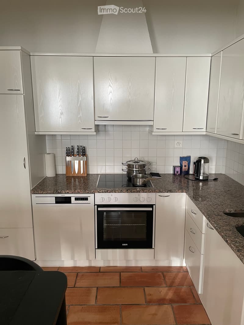 Appartement centre de Morges (4)