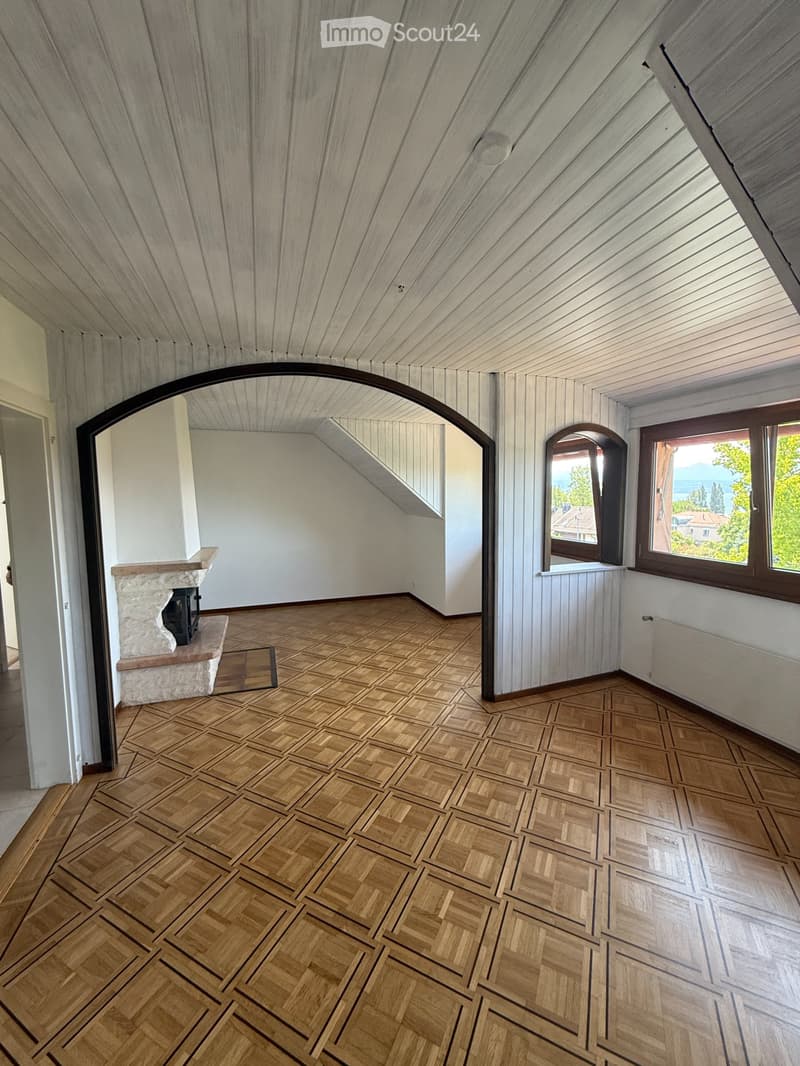 Appartamento con 4,5 locali + padiglione di giardino (1)