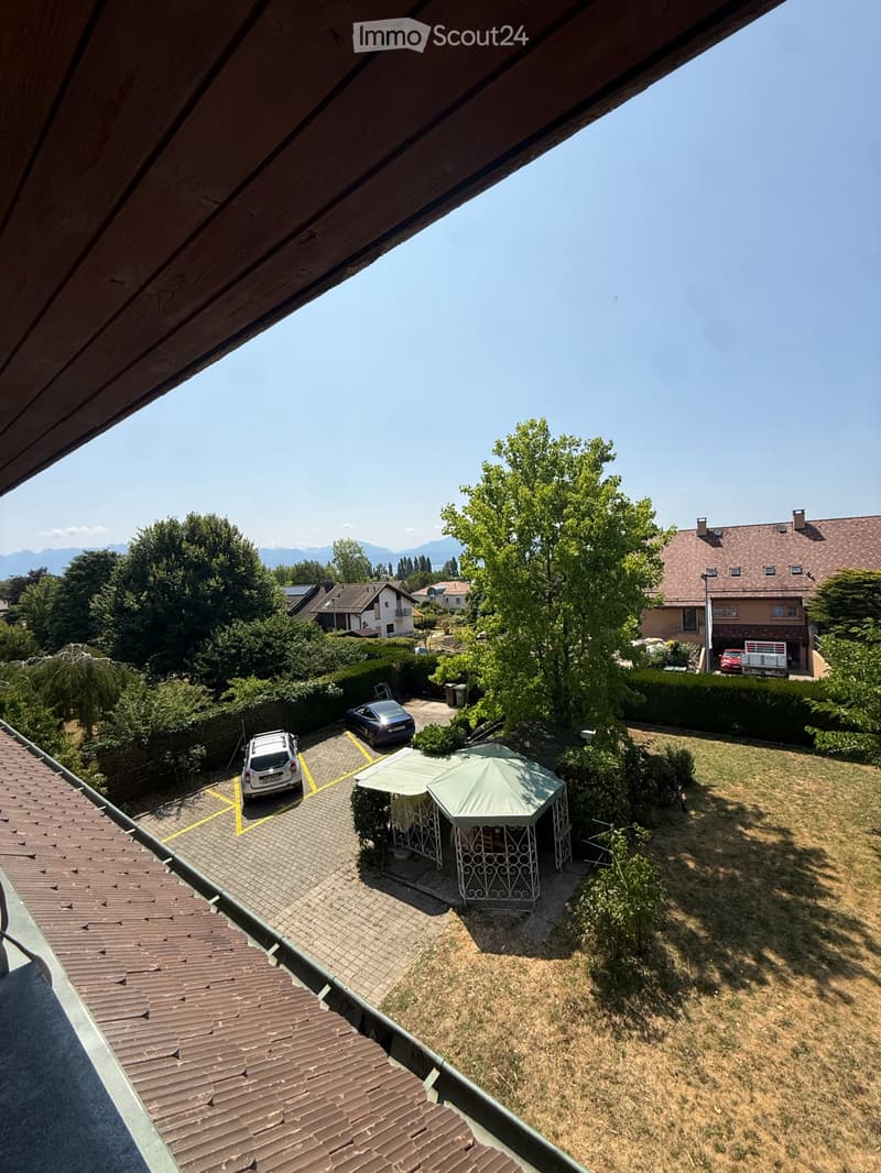 Appartamento con 4,5 locali + padiglione di giardino (2)