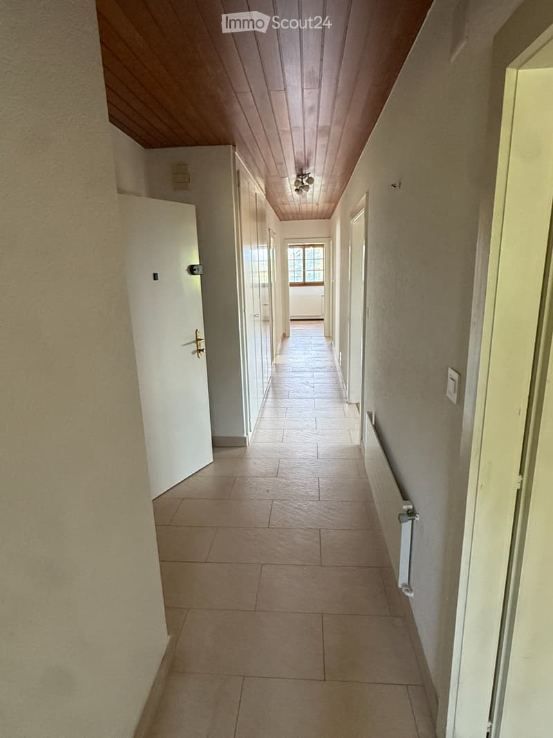 Appartamento con 4,5 locali + padiglione di giardino (4)