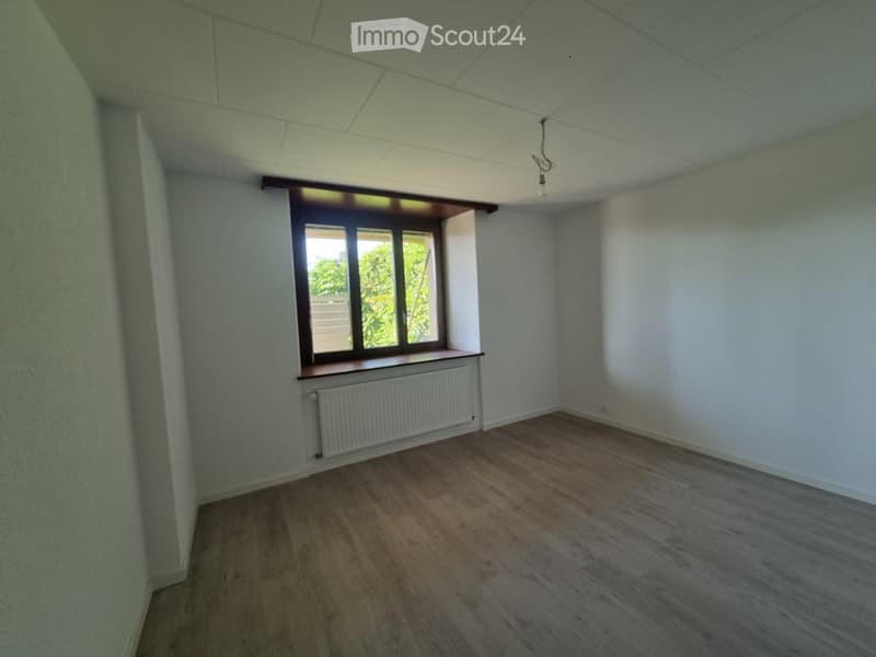 2-room apartment fully renovated with equipped kitchen - garden access (4)