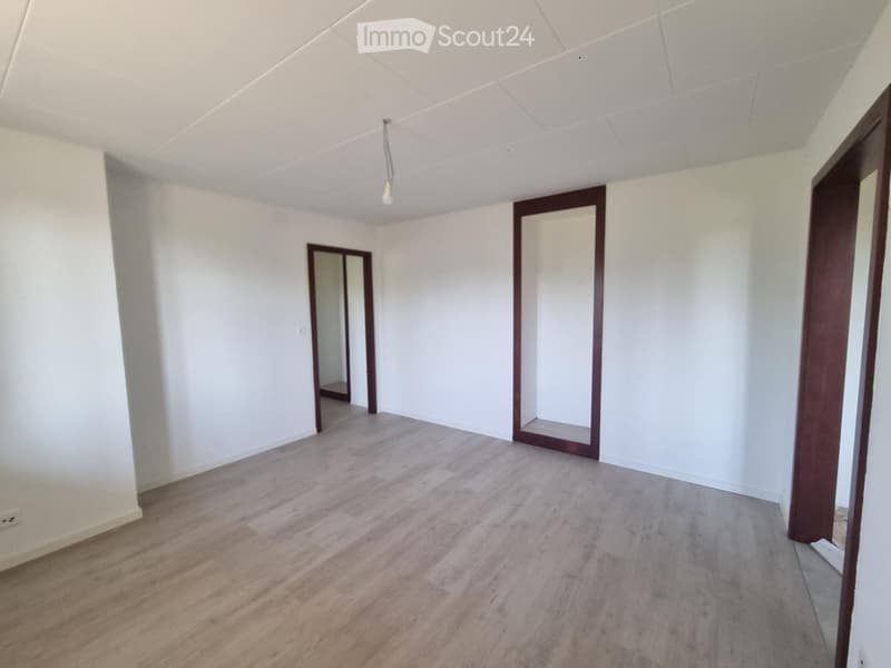 2-room apartment fully renovated with equipped kitchen - garden access (3)
