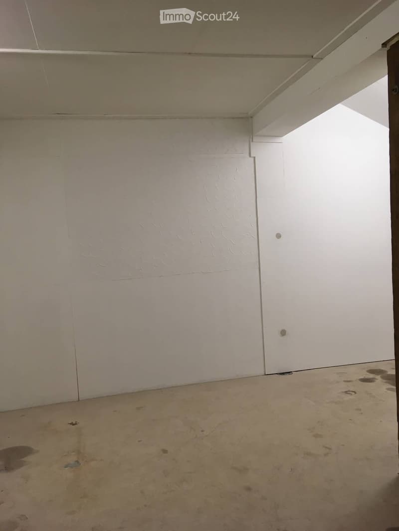 Dry Storage Room / Garage (3)
