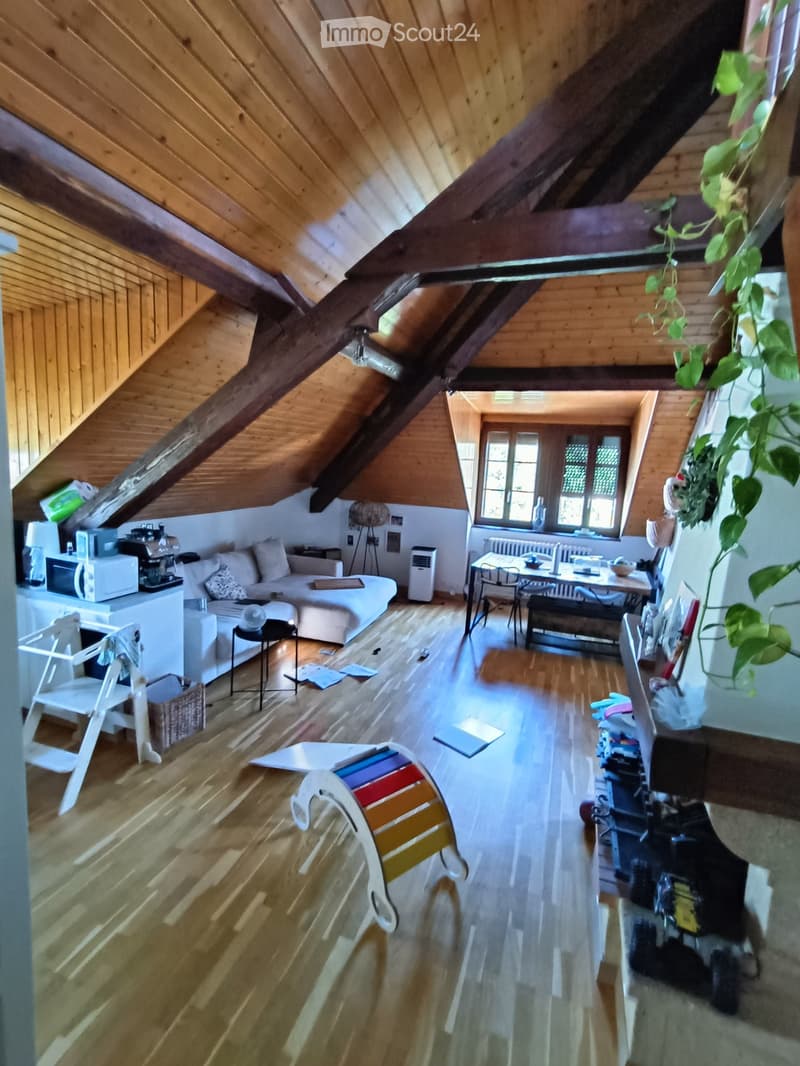 Charming 5.5-room apartment in a villa in Carouge (4)
