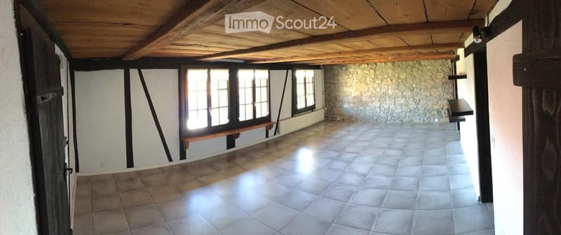 Schöne 21/2-Zimmer-Wohnung (2)