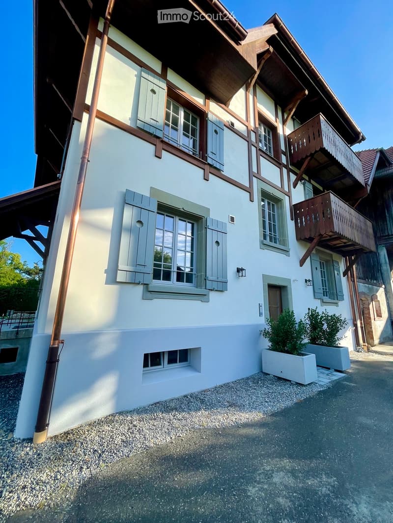 Mansarda/Duplex 4.5 locali con fascino (1)