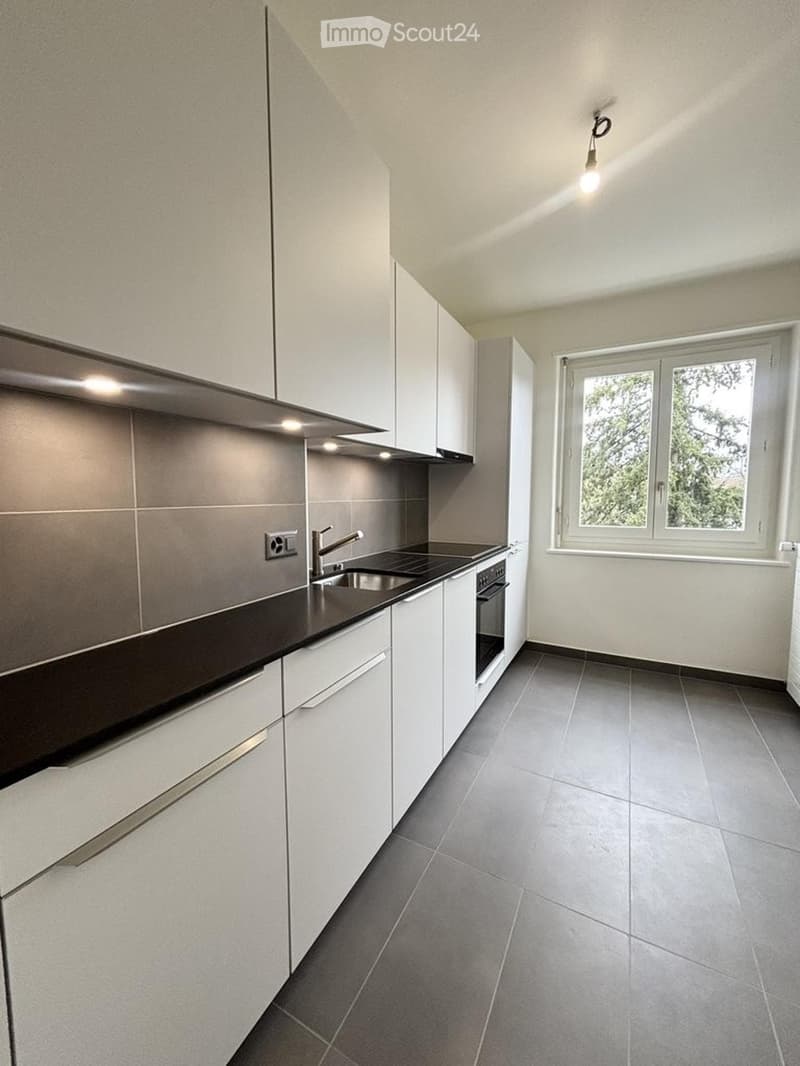Charmant appartement de 2 pièces avec balcon à Genève (3)