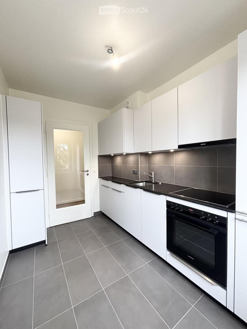 Charmant appartement de 2 pièces avec balcon à Genève (1)