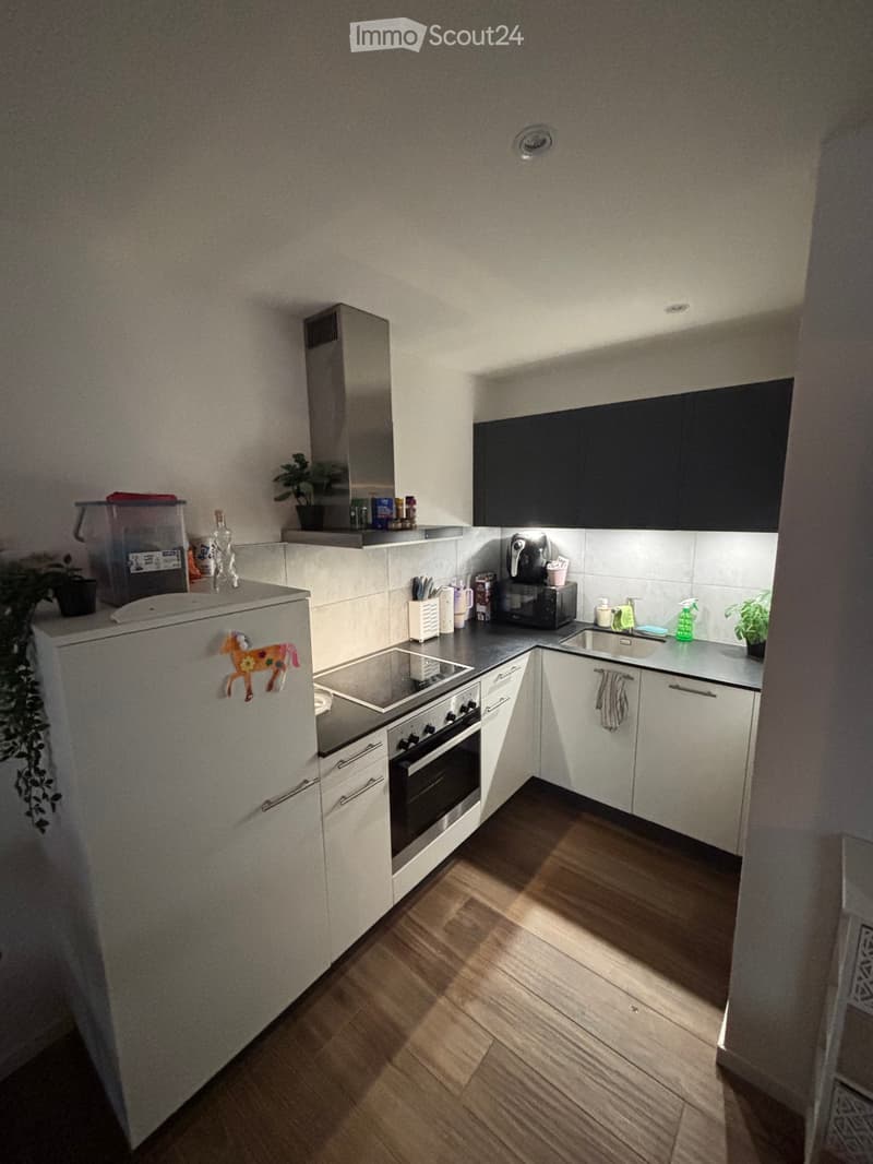 2.5 rooms on the ground floor with terrace (3)