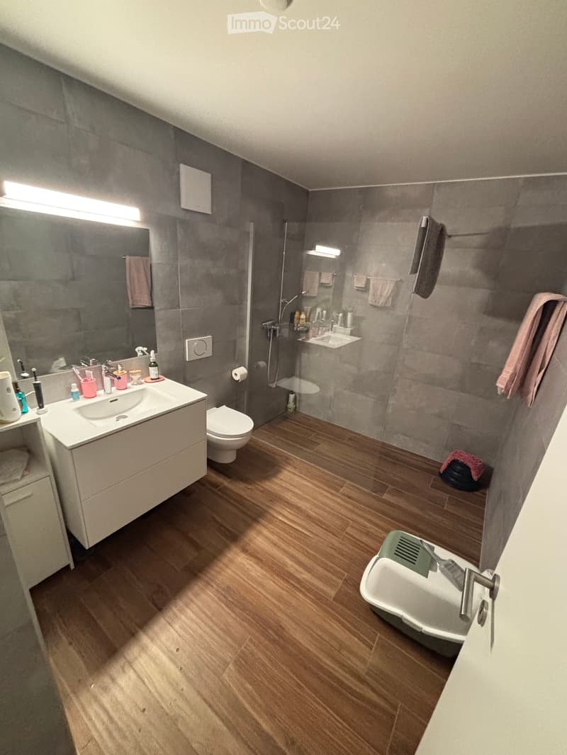 2.5 rooms on the ground floor with terrace (4)