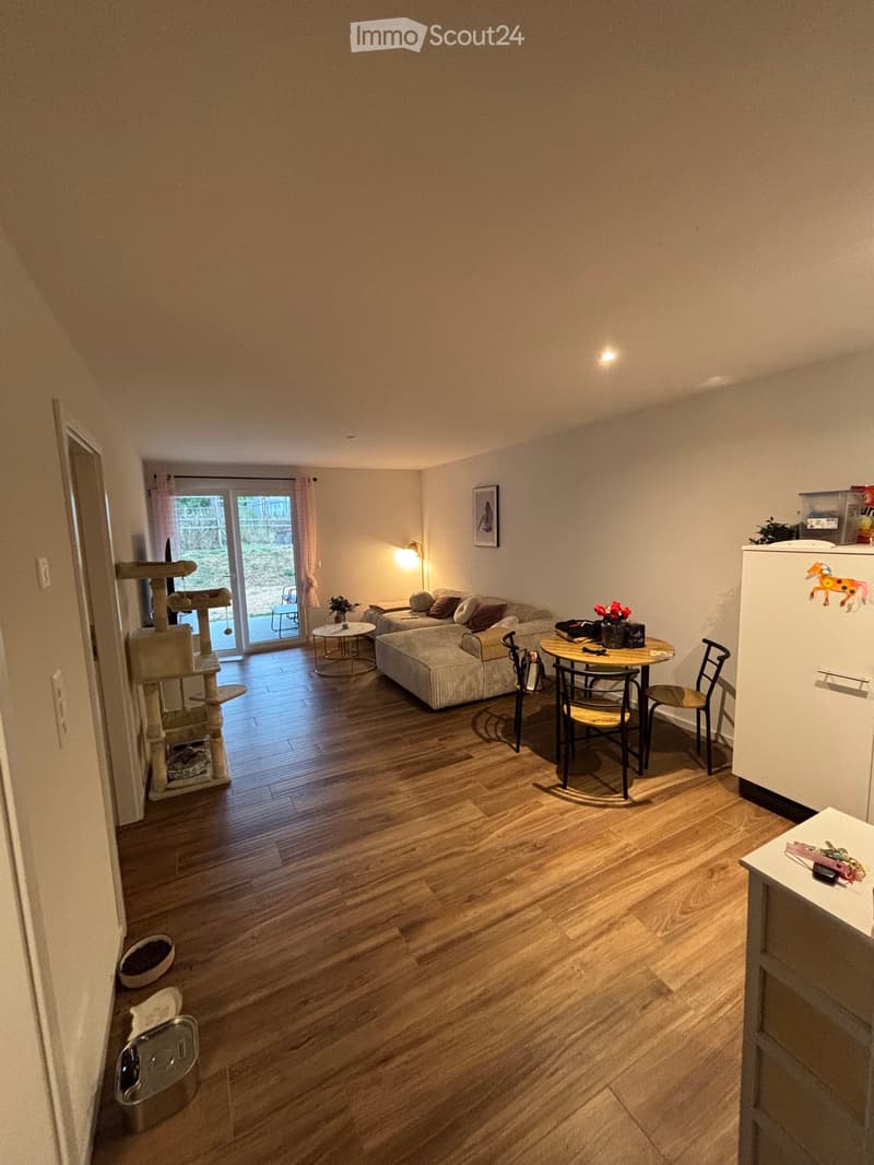 2.5 rooms on the ground floor with terrace (1)