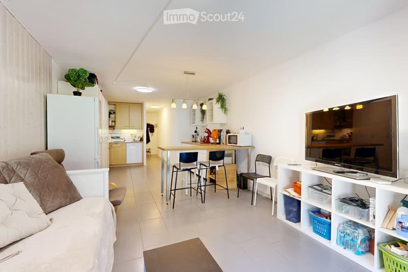 Charmant appartement de 2.5 pièces avec 2 salles d'eaux (1)