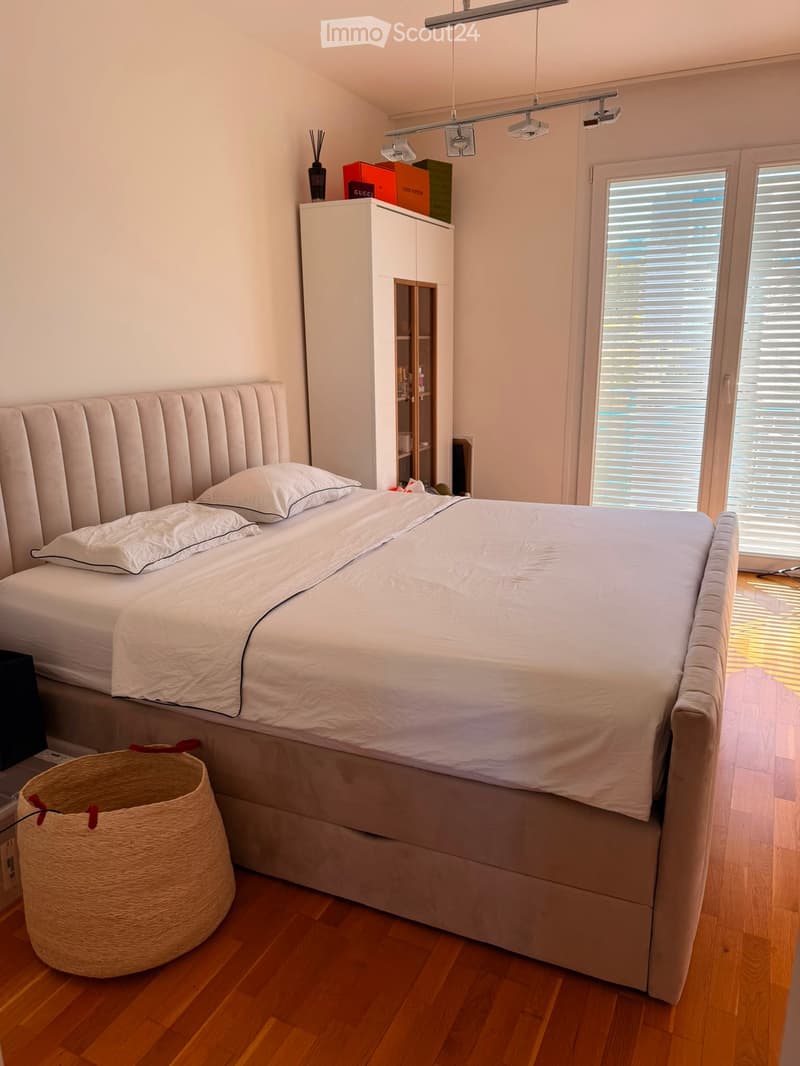 Spacious 3-Bedroom Apartment with Lake-Facing Terrace (3)