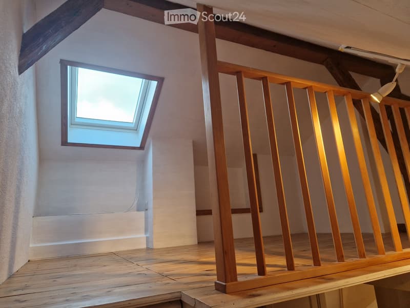 4,5 pièces en duplex, vue sur le Léman et gare à 2 minutes! (11)