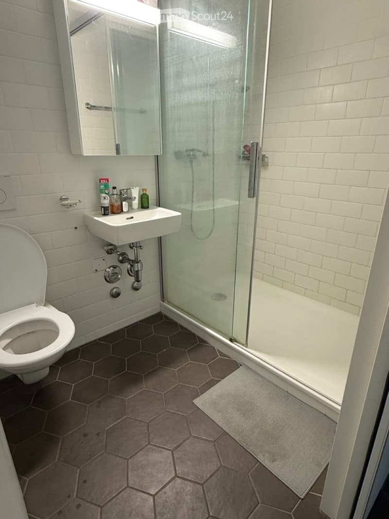 Beautiful apartment, balcony, lake view. Available from September 1st (4)
