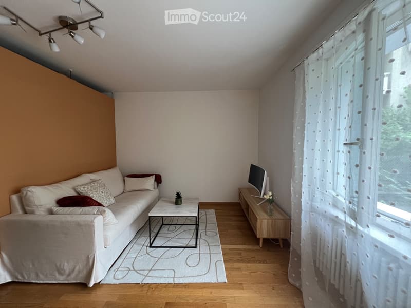 Charming 1.5-Room appartment with Terrace in Zurich Oerlikon (1)