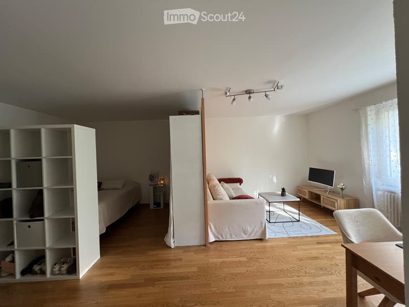 Charming 1.5-Room appartment with Terrace in Zurich Oerlikon (4)