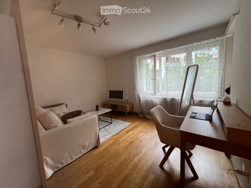 Charming 1.5-Room appartment with Terrace in Zurich Oerlikon (2)