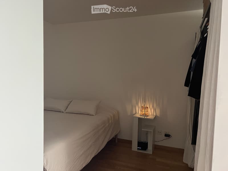 Charming 1.5-Room appartment with Terrace in Zurich Oerlikon (3)